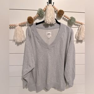 Aerie Down-to-Earth V-Neck Sweatshirt